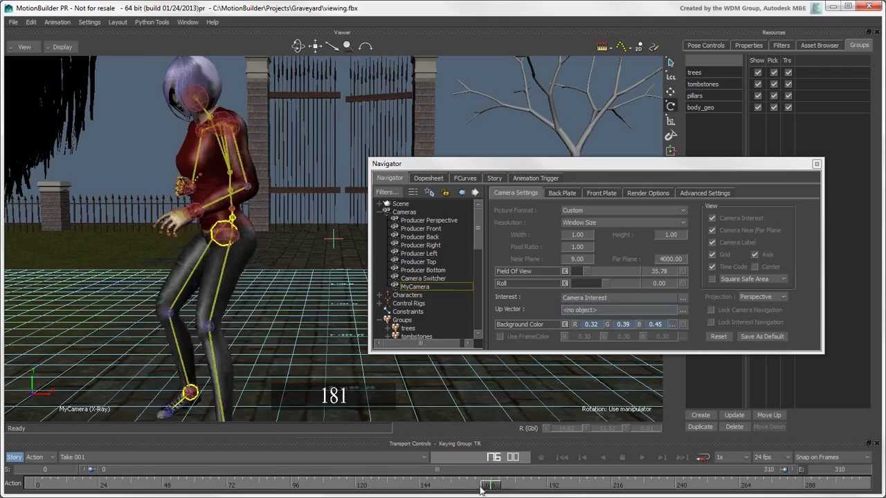 Getting Started with MotionBuilder: Displaying in the Viewer