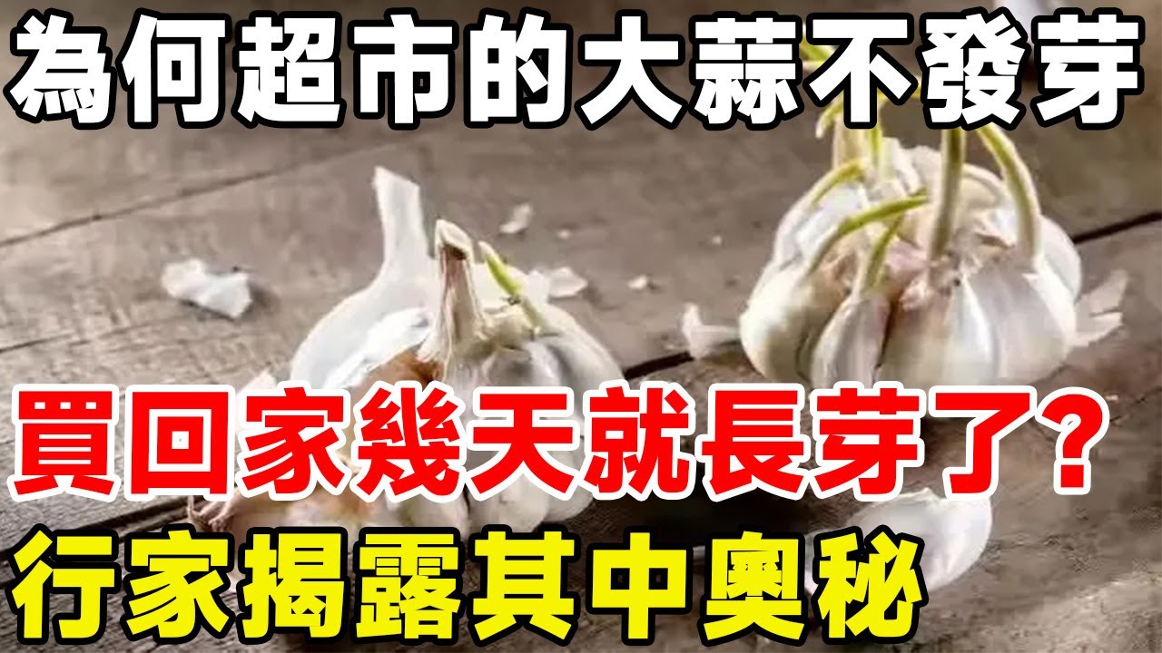 為何超市的大蒜不發芽，買回家幾天就長芽了？行家揭露其中奧秘#科普 #科普頻道