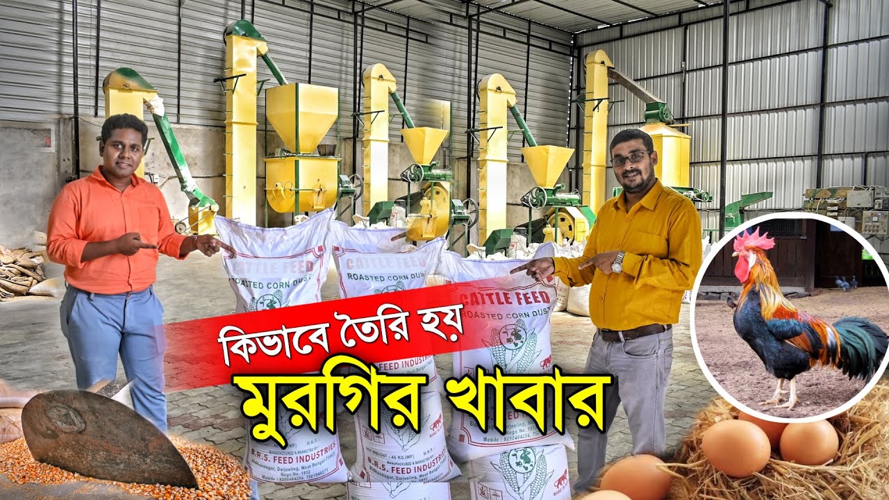 কিভাবে তৈরি হচ্ছে মুরগির খাবার | Poultry Feed Factory | How to make Poultry Feed