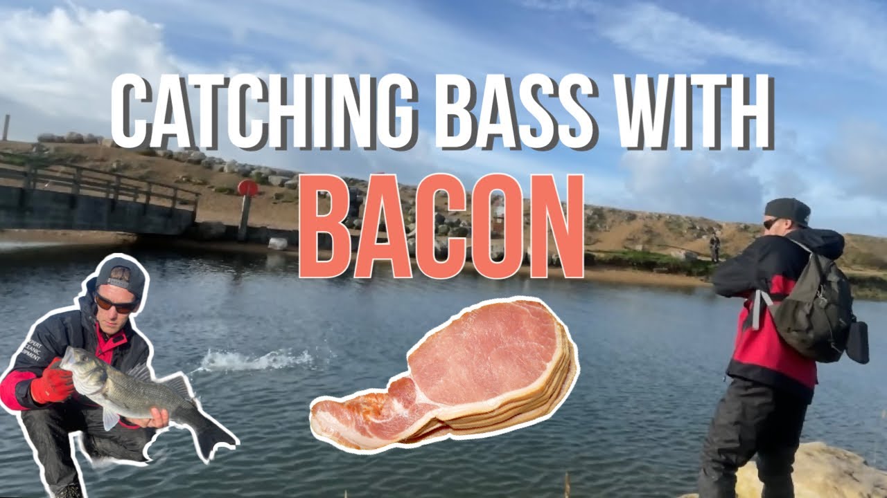 Catching BASS on BACON ~ Milford on Sea