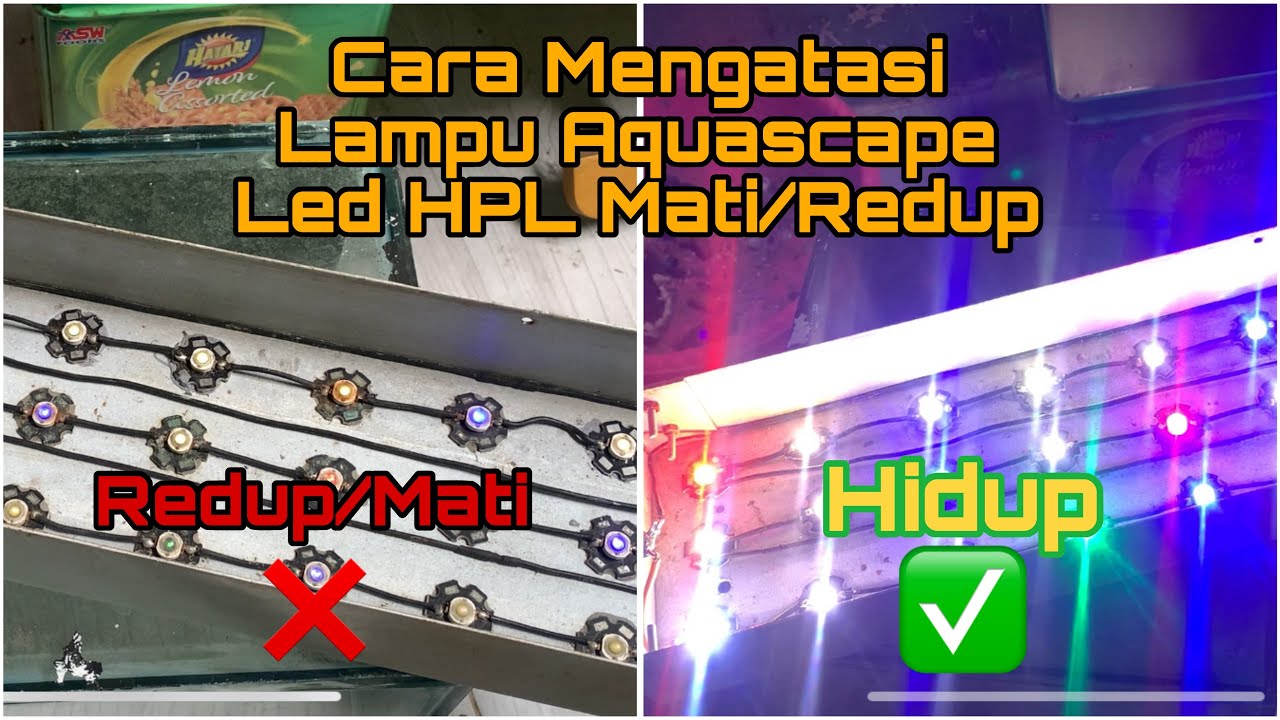 Cara Memperbaiki Lampu Aquascape LED HPL Mati atau Redup | DIY & Hemat Biaya ✅