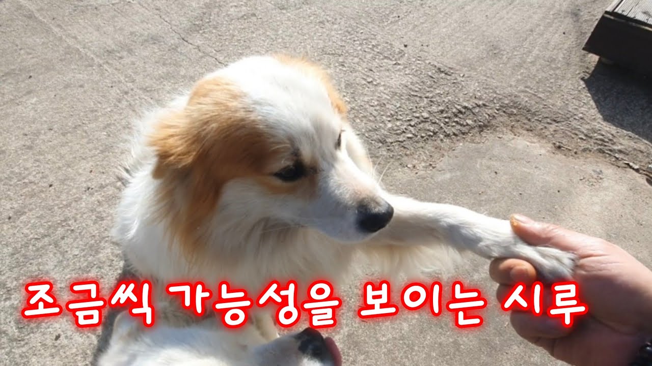 개과천선 18일차