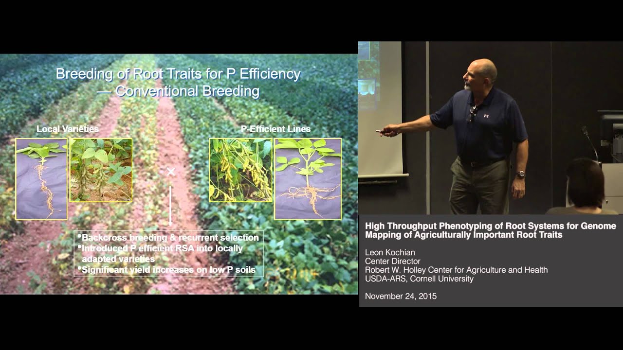 Leon Kochian - High throughput phenotyping of root systems for genome mapping of root traits