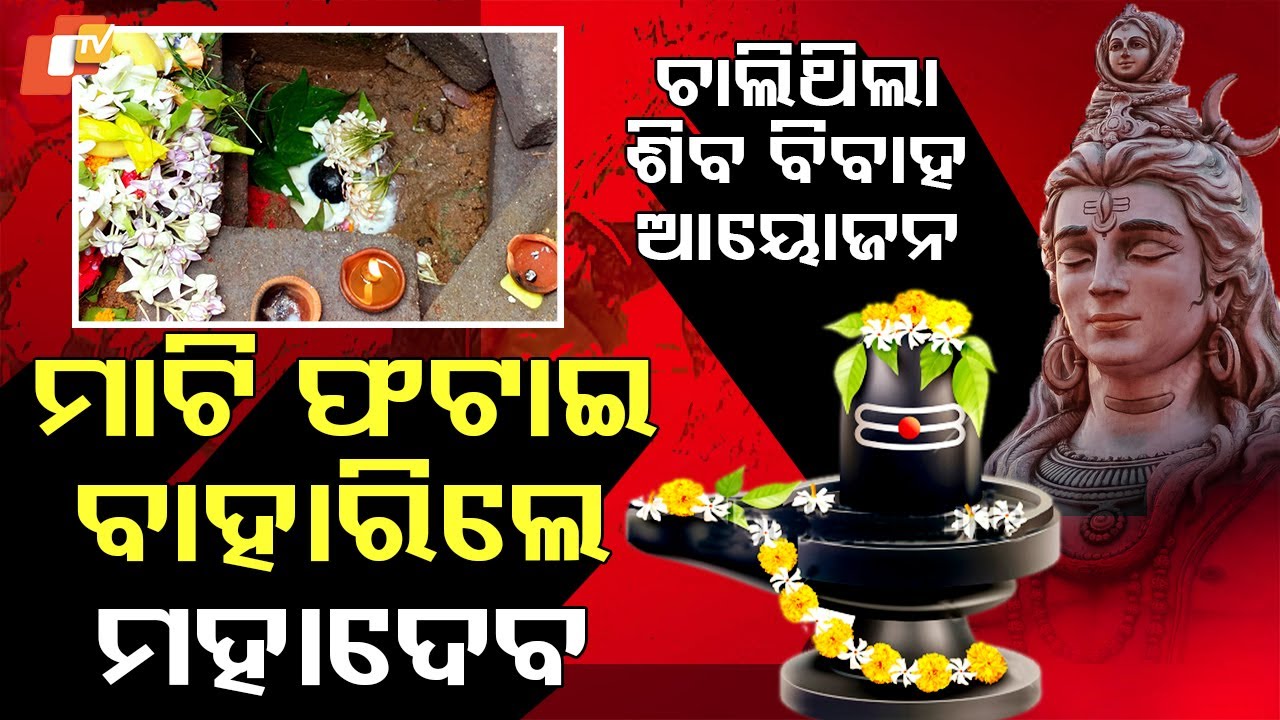 Special Story: Miraculous Shiva Lingam Emerges in Balangir Home During Sheetal Sasthi Preparations