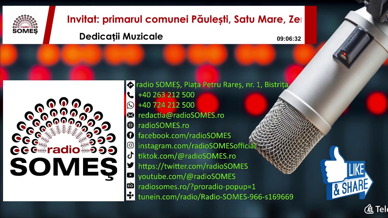 Dedicatii Muzicale