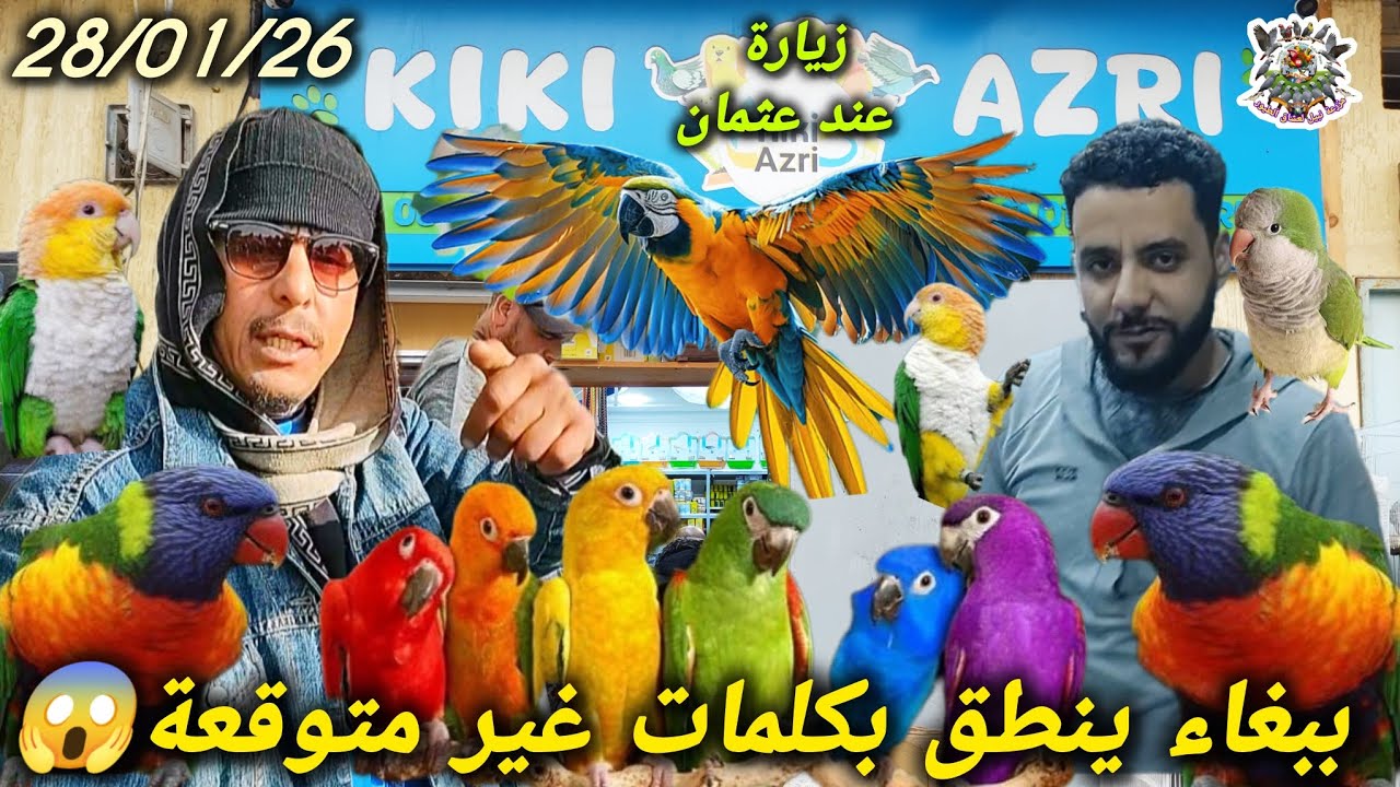 دخلت جنة الببغاوات 🦜 أندر طيور العالم في ضيافة الأخ عثمان 🔥 #طنجة 0637872135 📞✔️