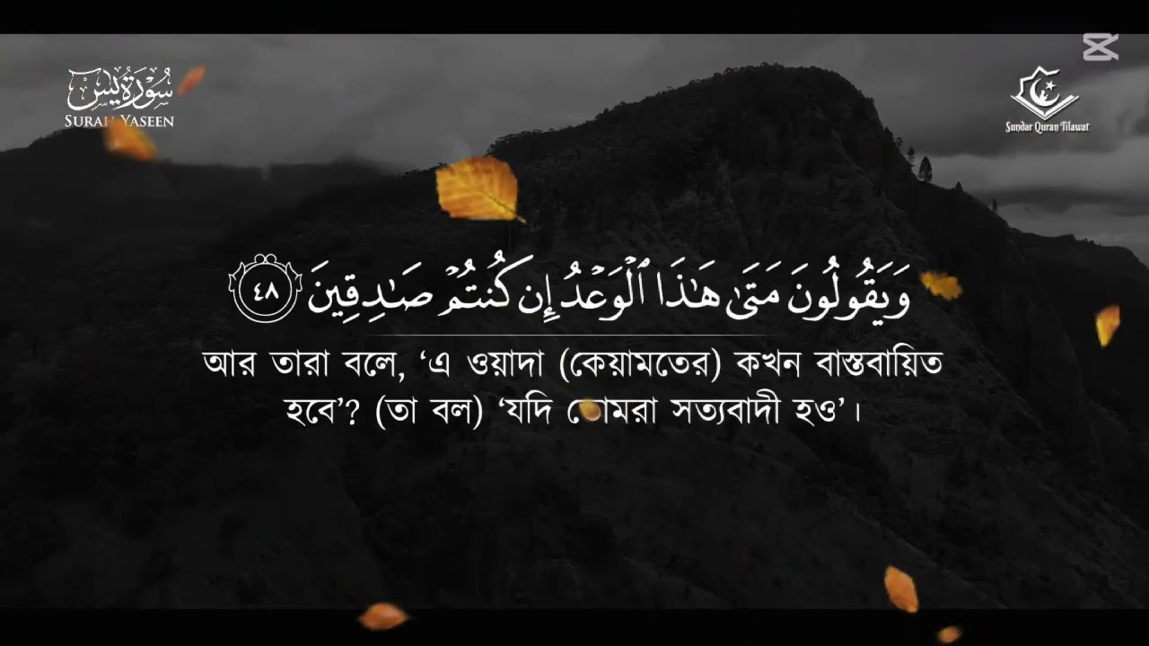 Sura Yeasin / সুরা ইয়াসিন / সকল নেয়ামতের মূল/ 