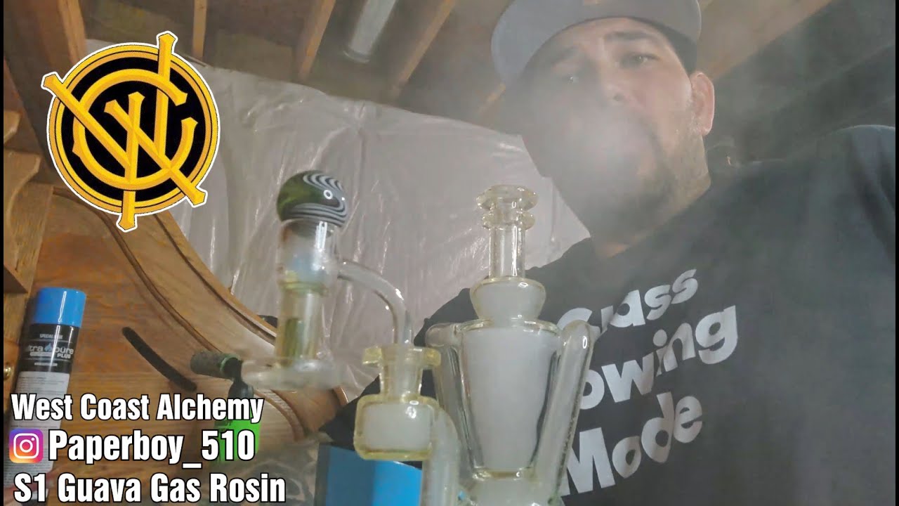West Coast Alchemy x Paperboy_510 - S1 Guava Gas Rosin
