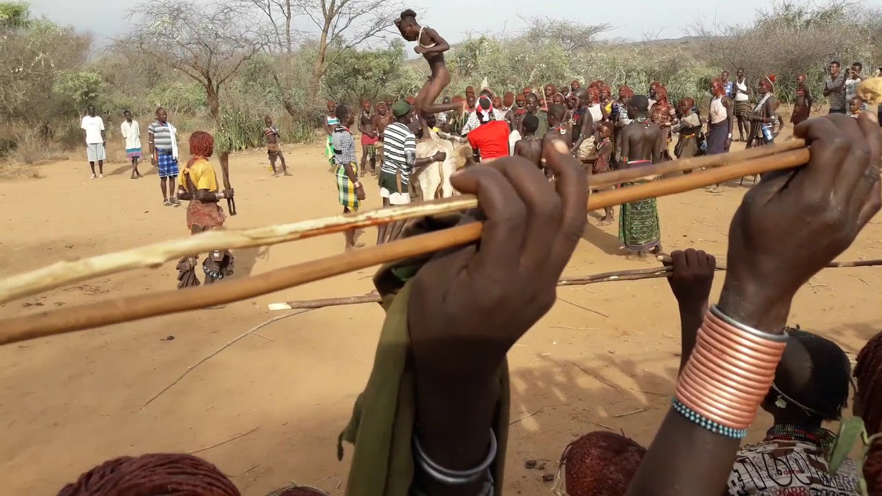 bull jumping in turmi - hammer tribe - ethiopia