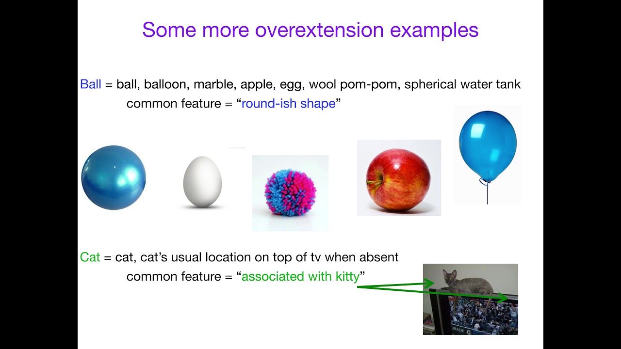 AcqOfLang1: Underextension and Overextension