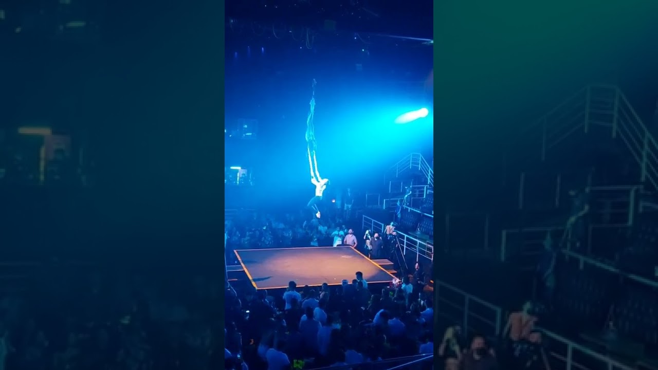 aerial hammock duo✨️