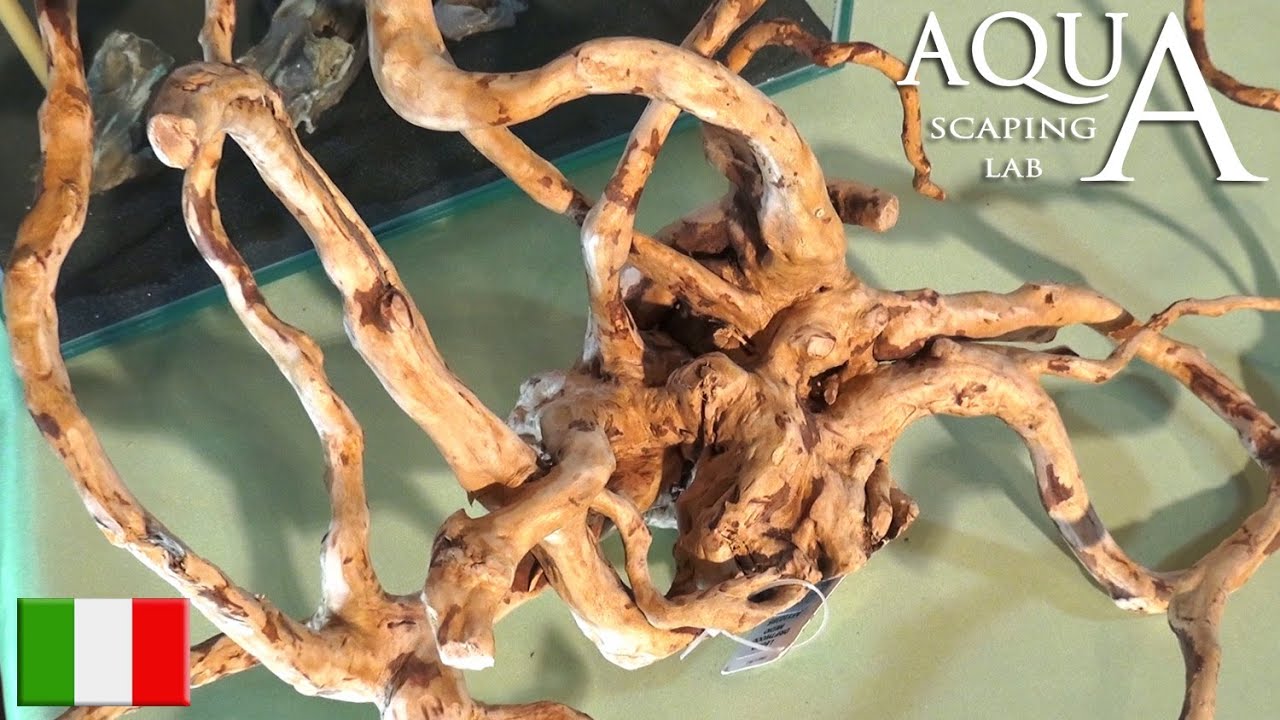 Aquascaping Lab - Legni e Radici per Acquario, trattamento Jati, Mopani, Java, Driftwood