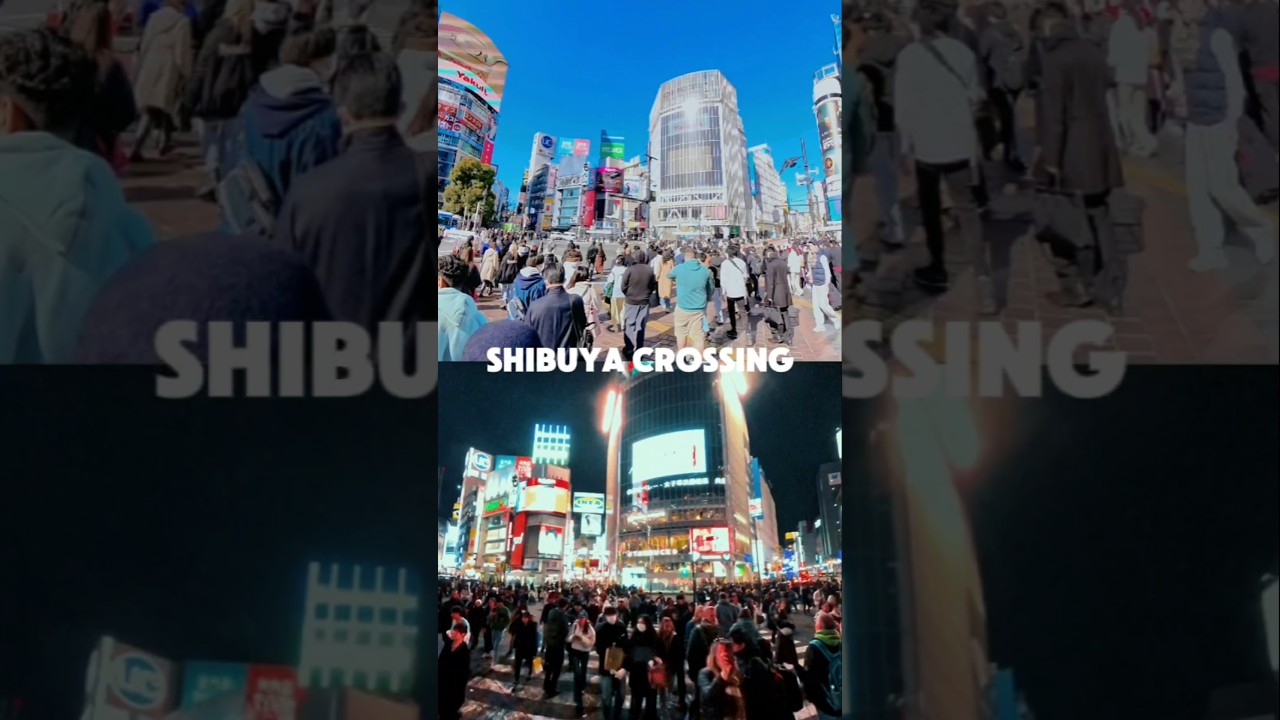 Shibuya Scamble Crossing in the Day and Night