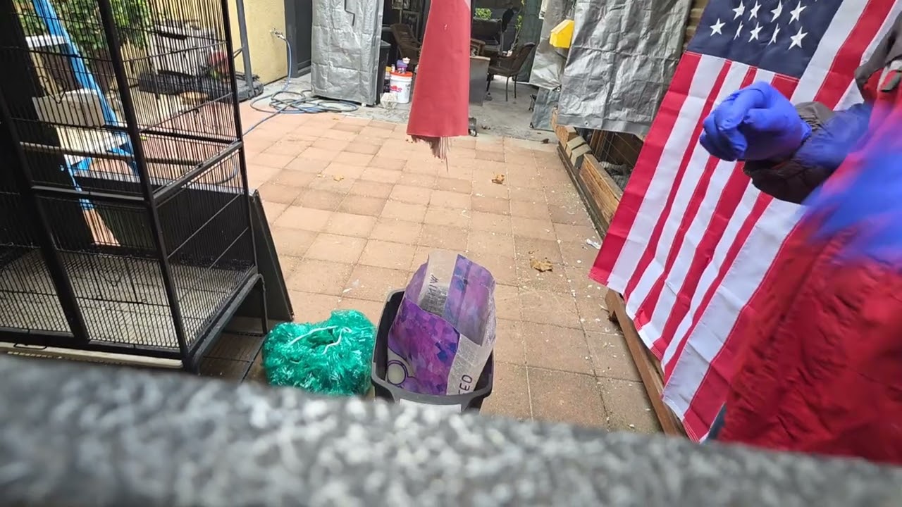 Sikreto sa Taiwan cage poop tray