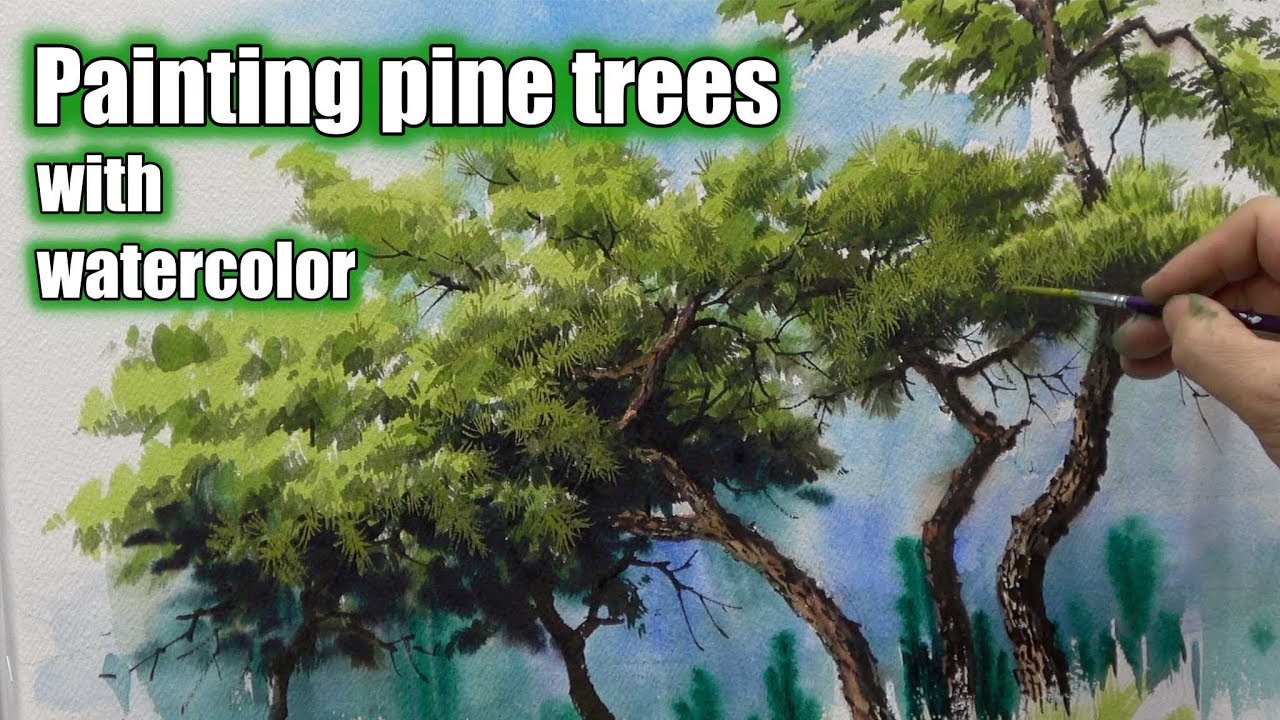 Watercolor painting process tutorial (speed painting) : How to draw pine trees