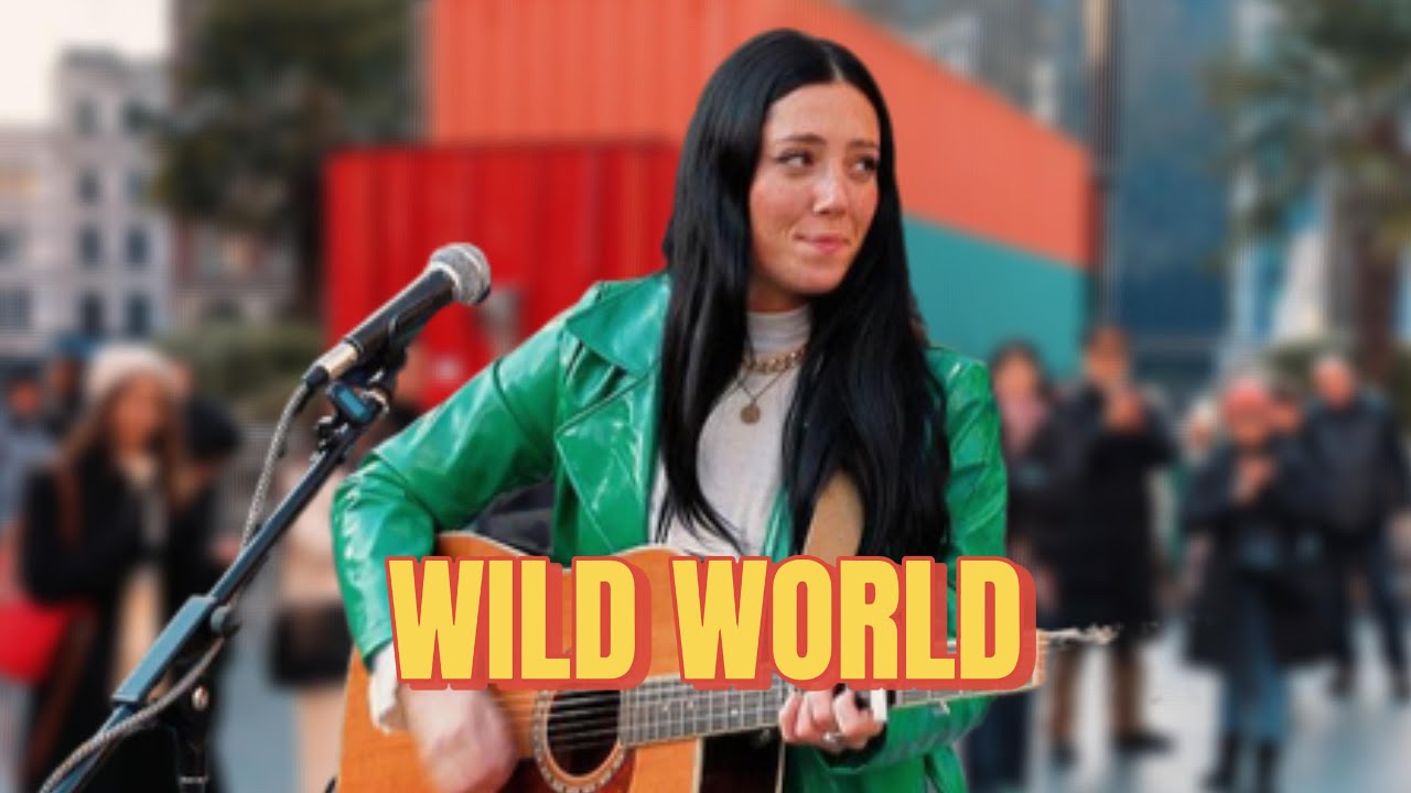 This Girl’s Voice Will Leave You SHOCKED – You Have to Hear It! | Cat Stevens - Wild World