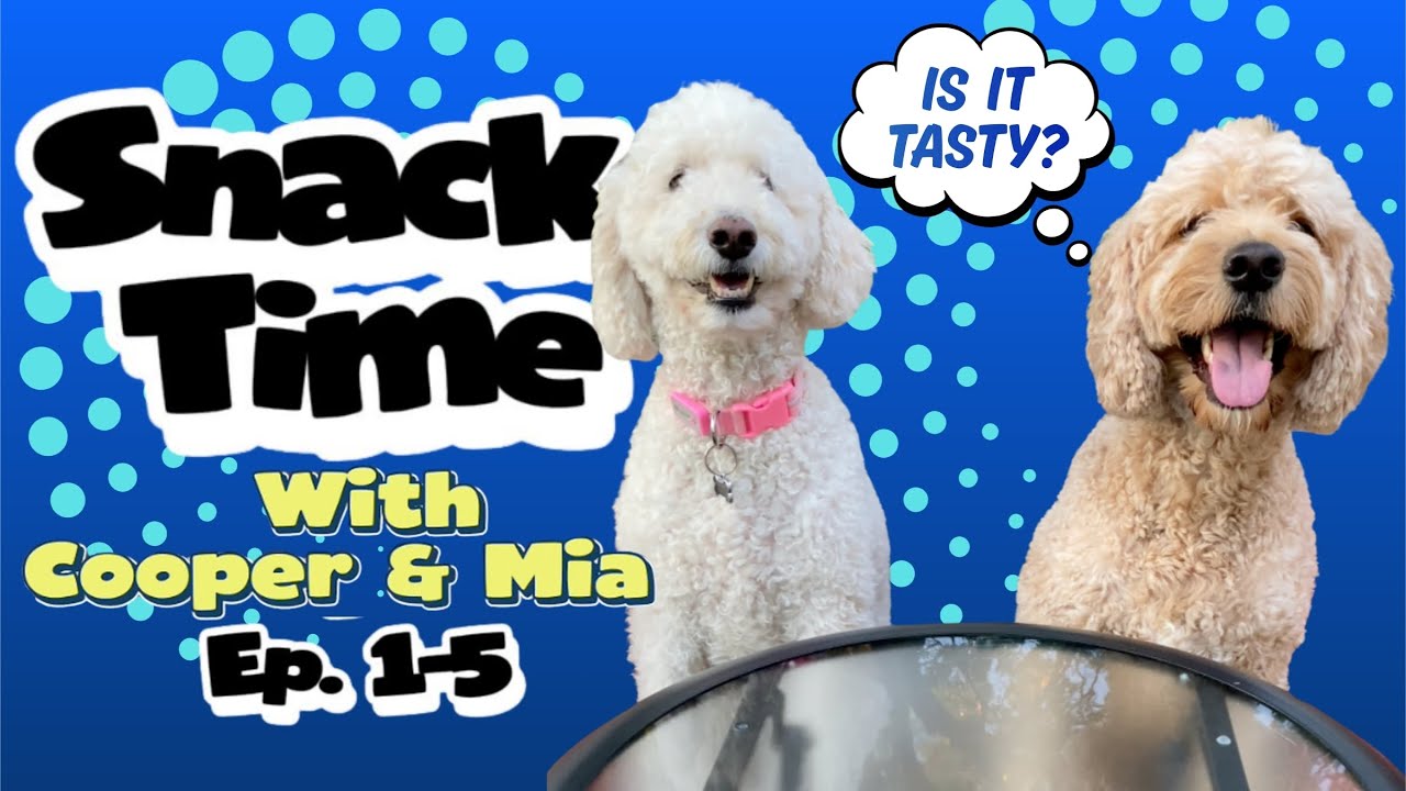 Snack Time Fun with Cooper & Mia 🐾❤️ | New Tastes & Funny Reactions (Compilation Ep 1–5) 