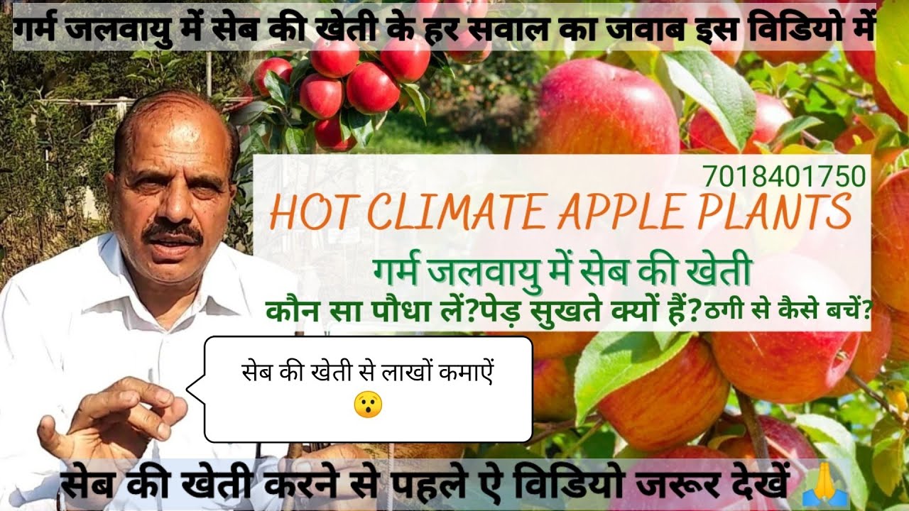 सेब🍎की खेती कर रहे हैं या करने की सोच रहें हैं तो विडियो आपके लिए हैं😯हर सवाल का जवाब इस विडियो में🙏