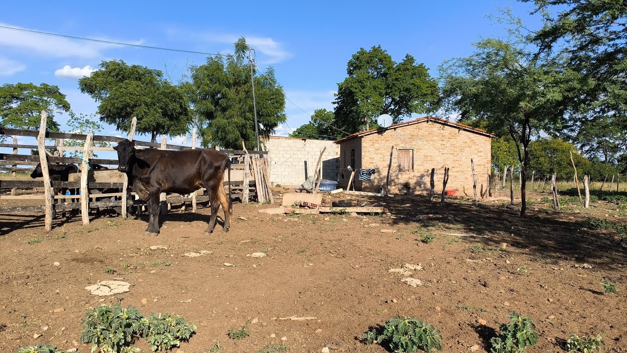 TARDE NA ROÇA VISITANDO UMA FAZENDA E MOSTRANDO PEDRAS CRISTAIS RARAS DA REGIÃO 