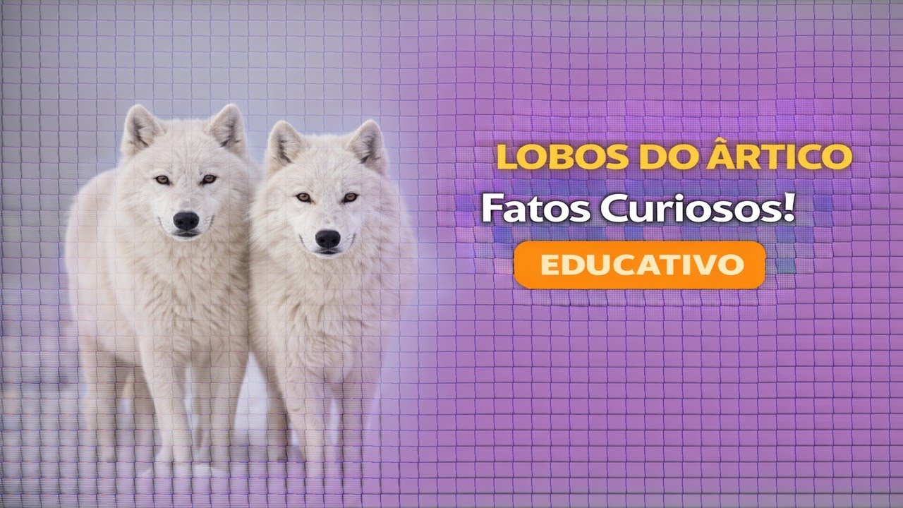 LOBOS DO ÁRTICO: CURIOSIDADES INCRÍVEIS SOBRE ELES...