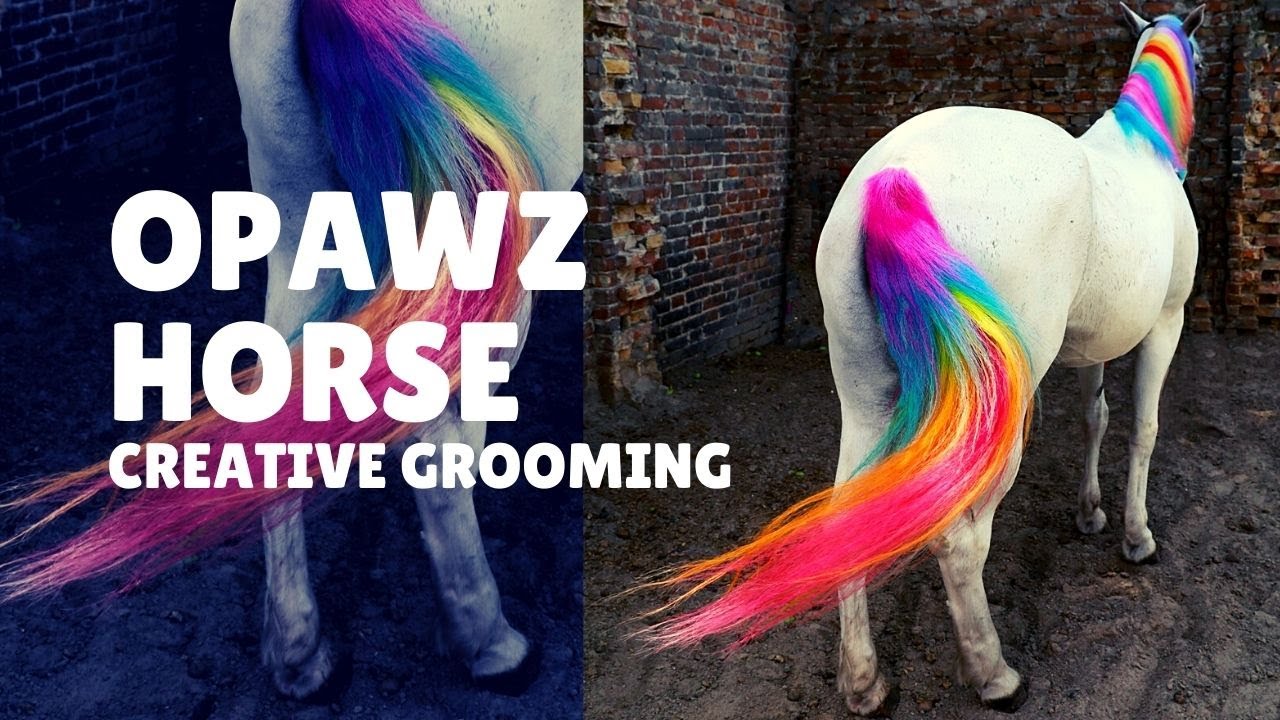 Horse Creative Grooming - Colorful Horses Grooming from OPAWZ