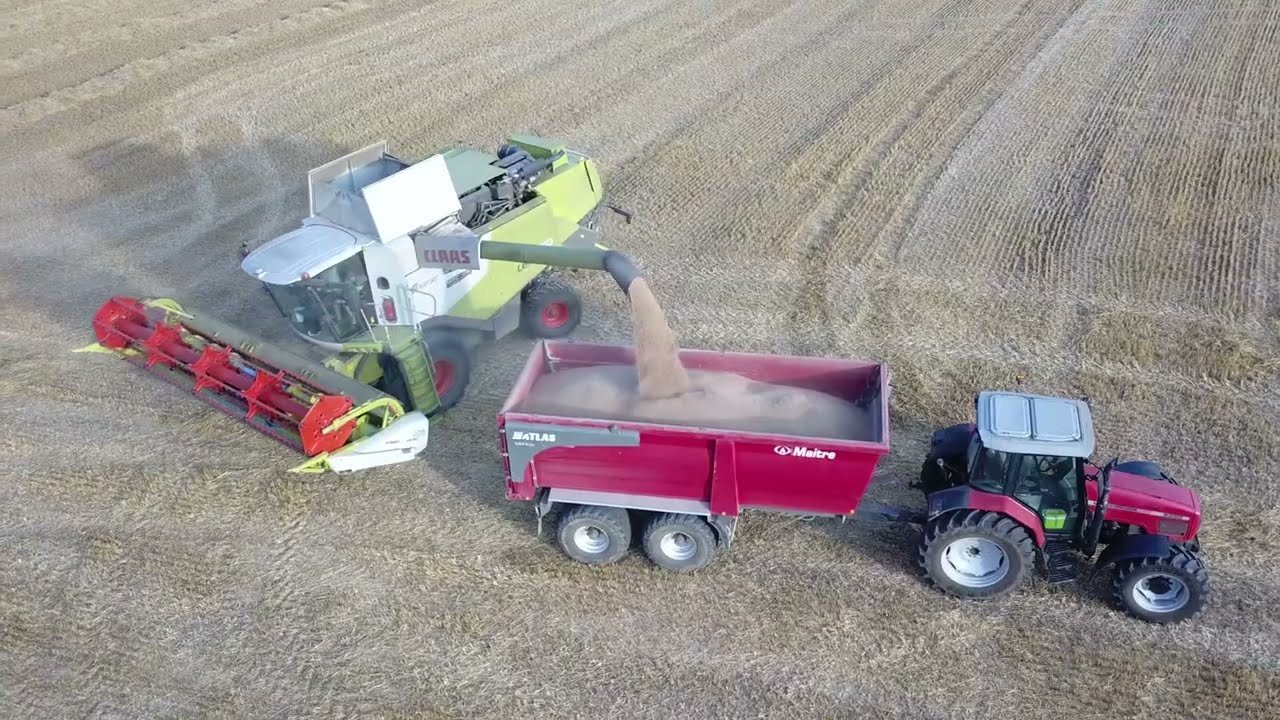 Moisson LEXION 650 [DRONE]