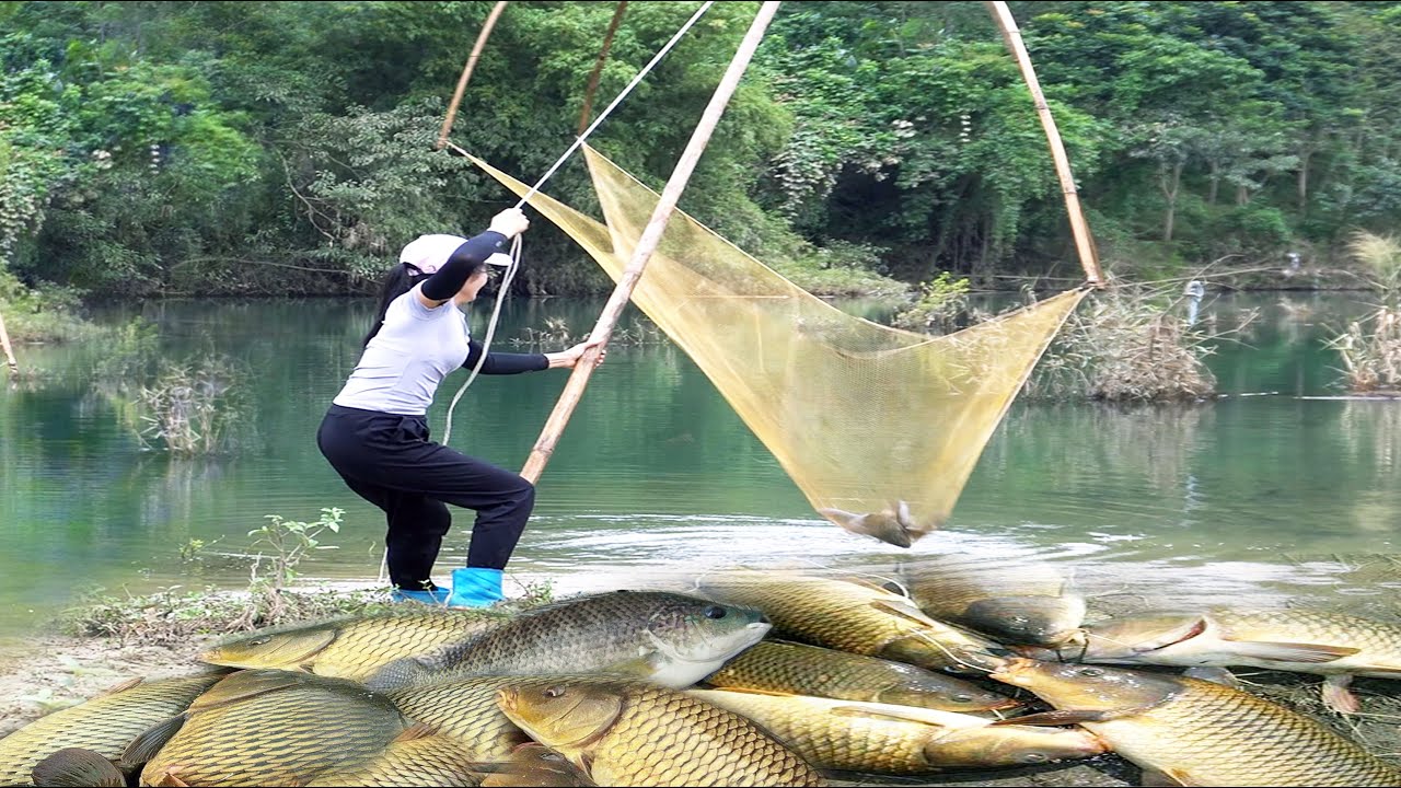 Full Video: Fishing Technique on Rivers and Lakes, Traditional Fishing with Net, Catch a Lot of Fish