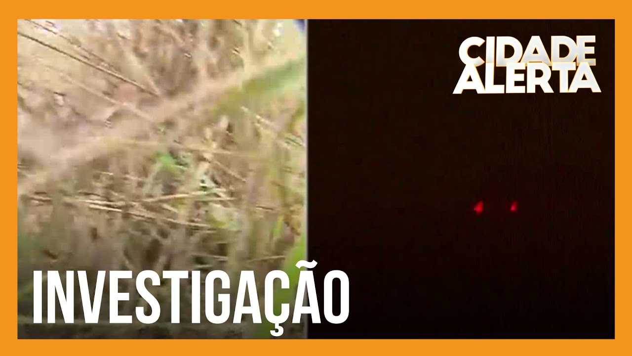 Acampamento onde Lázaro manteve Cleonice Vidal como refém é descoberto