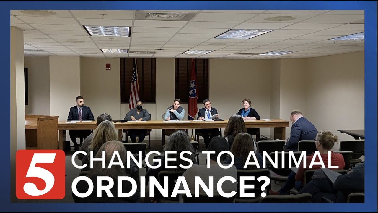 This councilwoman wants to change an animal ordinance. Not everyone agrees.