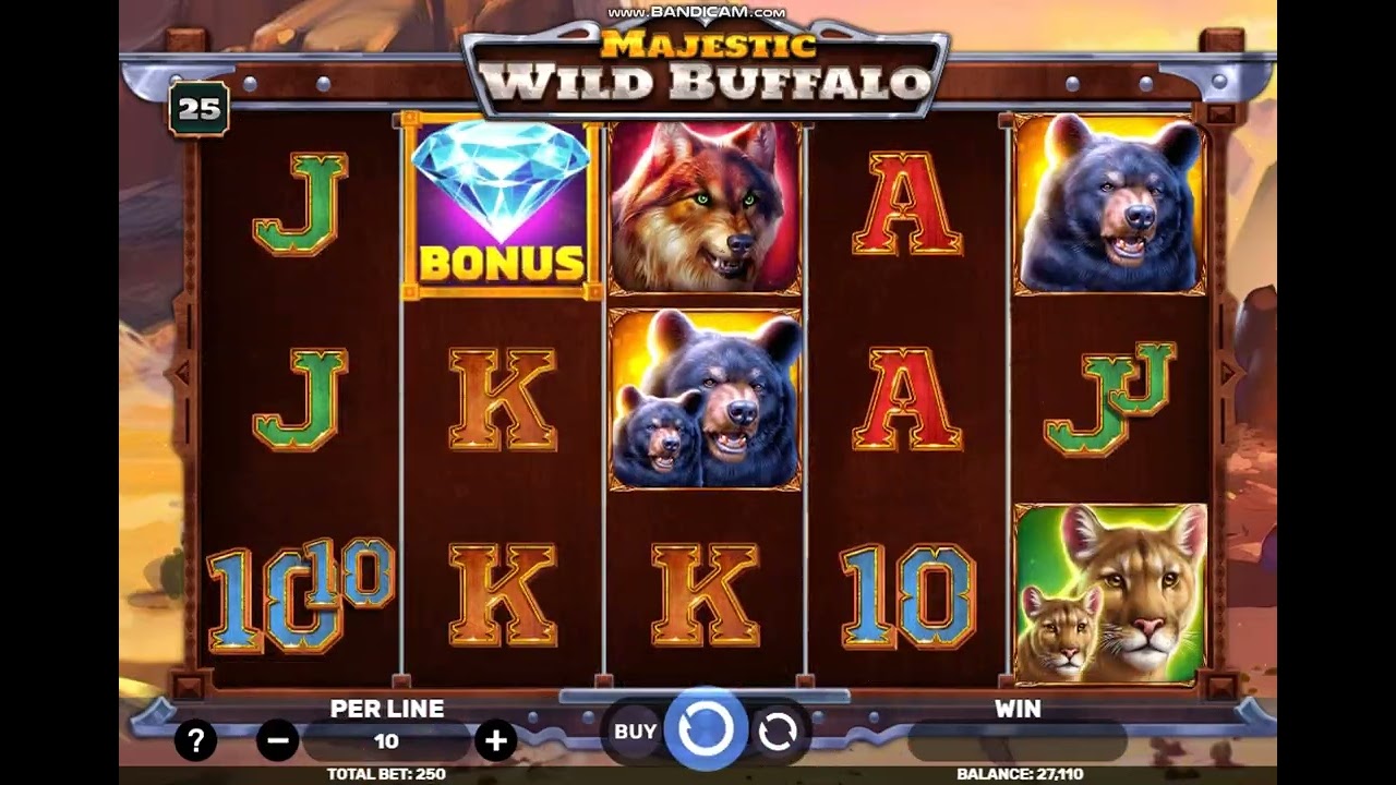 Majestic Wild Buffalo.Epic Win.