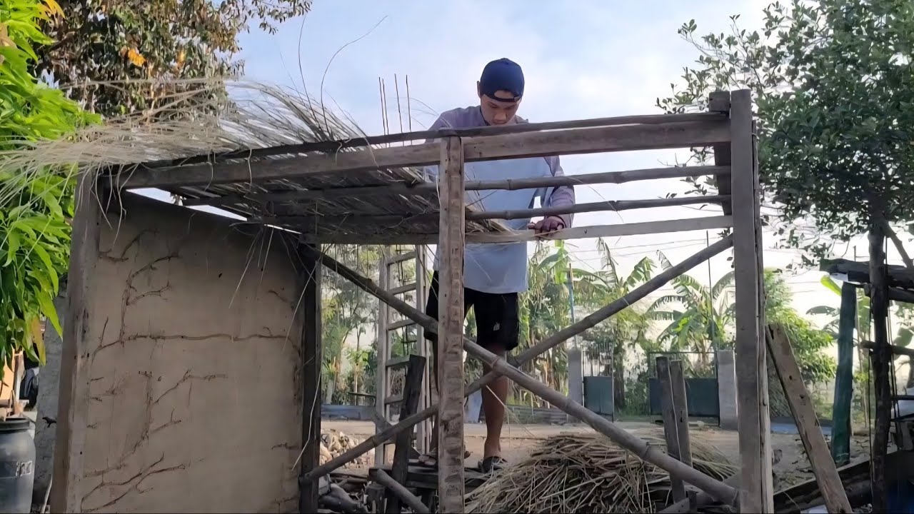 Building my pigeon loft 