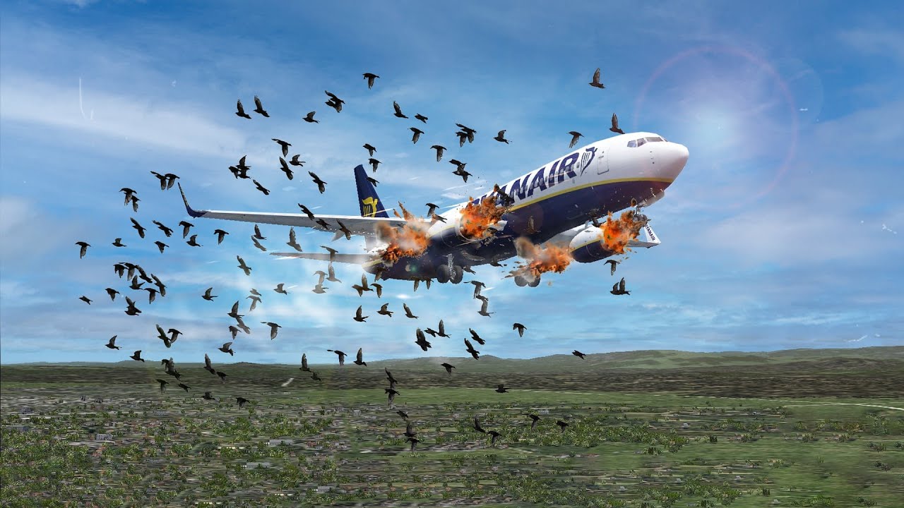 Bird Strike | Ryanair Flight 4102