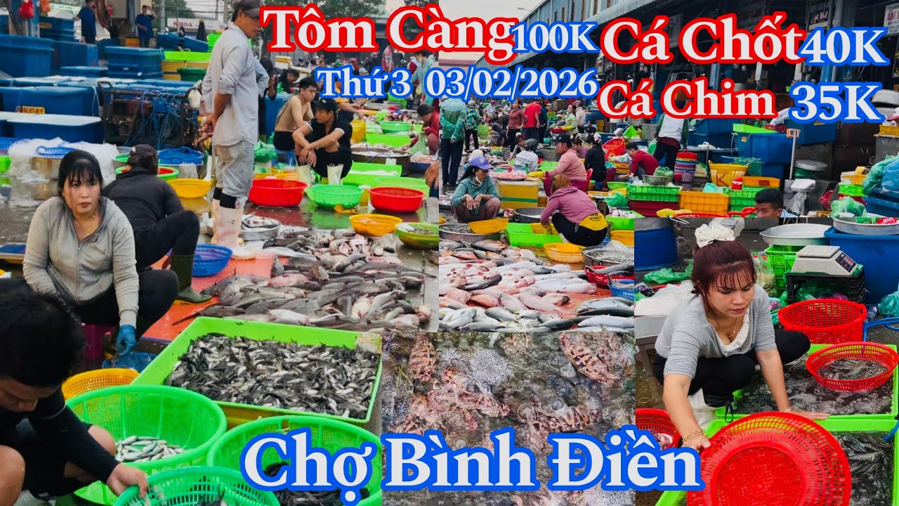 Chợ Bình Điền Sáng Thứ 3 - Cá Chốt 40K, Tôm Càng 100K, Bông Lau 75K, Cá Chim 35K | 03/02/2026 