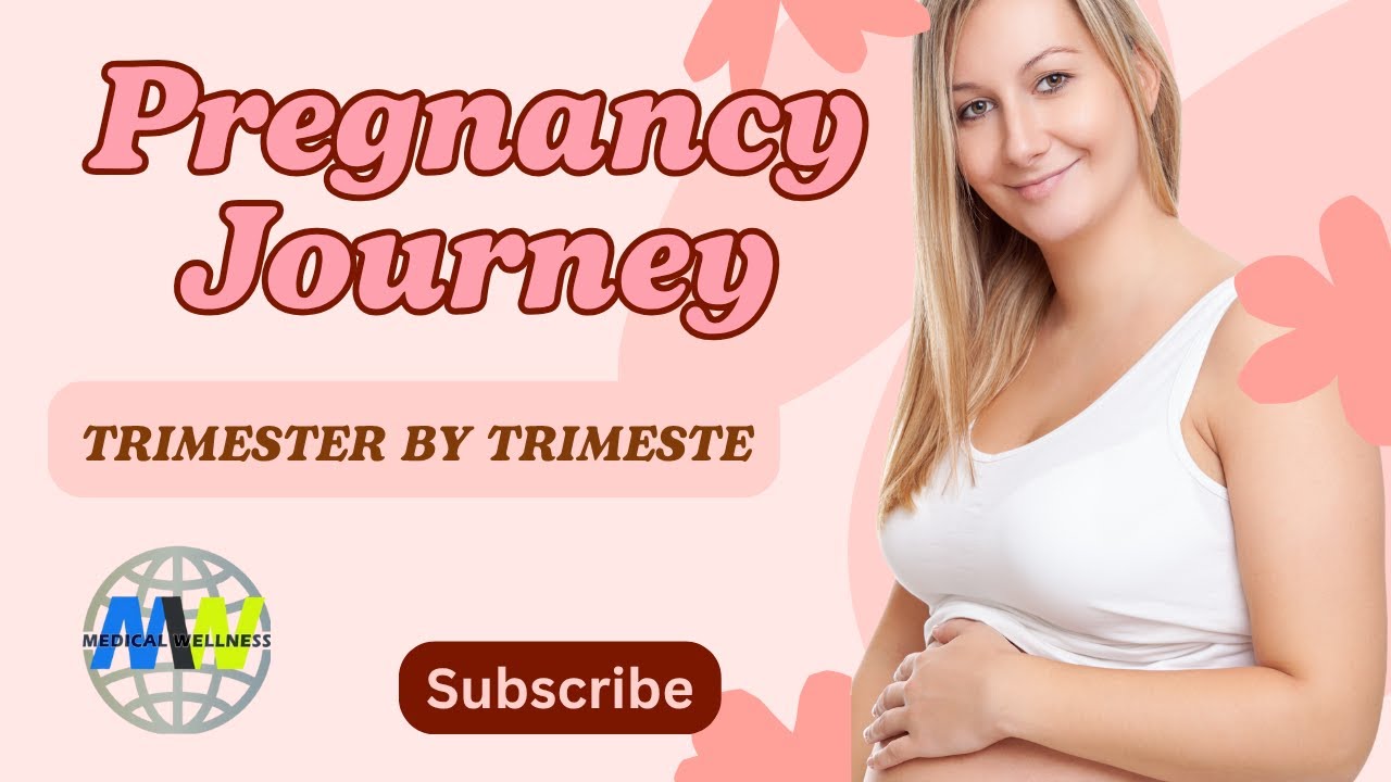 Pregnancy Journey  Trimester by Trimeste