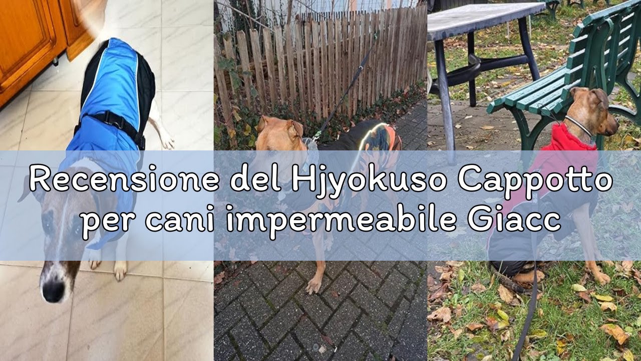 Recensione del Hjyokuso Cappotto per cani impermeabile Giacca invernale calda, Giacca per cani antiv
