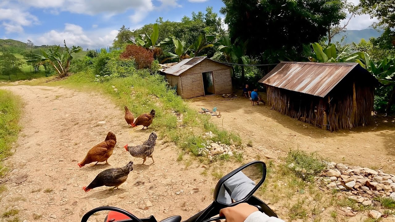 “ESTO ES LO QUE NADIE TE MUESTRA DEL CAMPO DOMINICANO 🇩🇴👀”