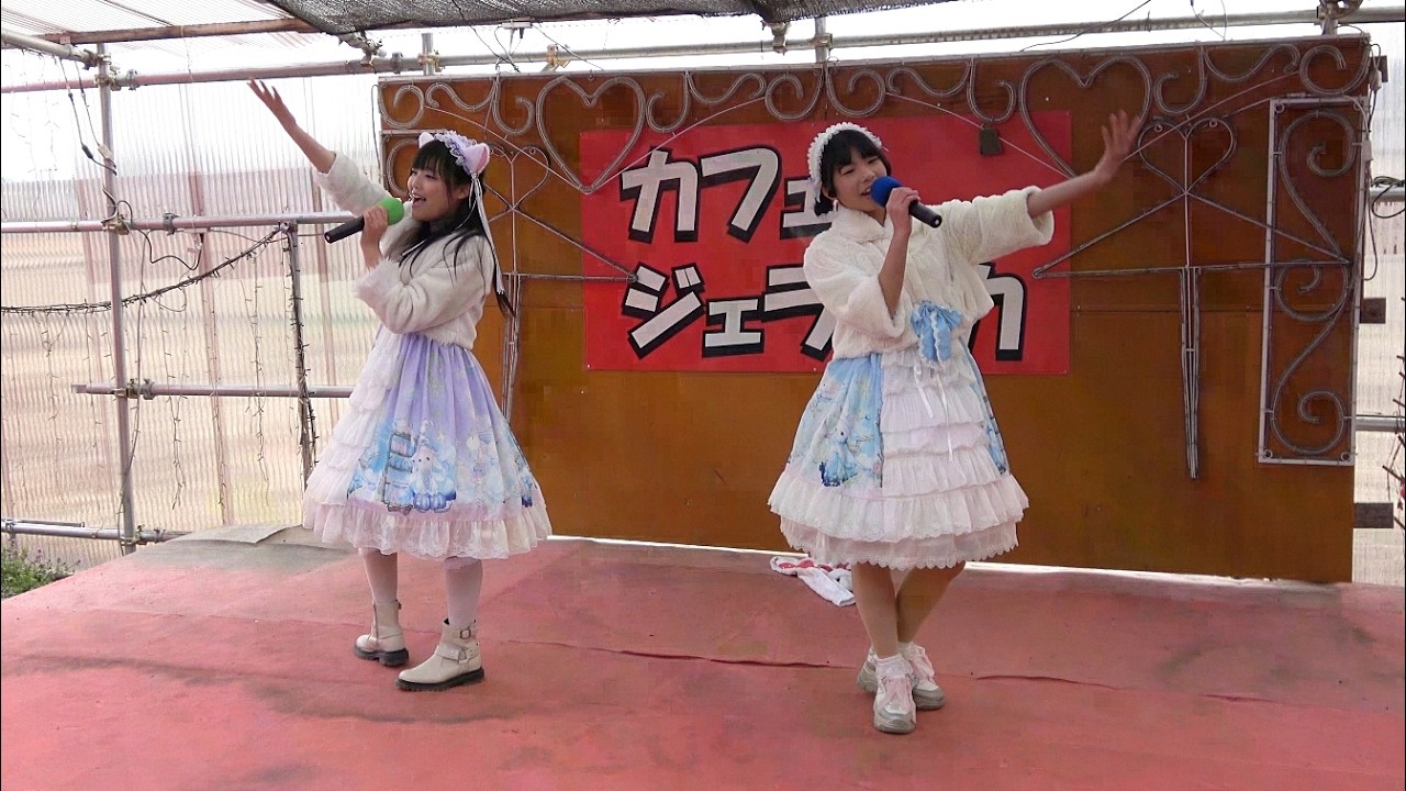 【SANOブランドール】栃木県佐野市ご当地アイドル「きみは青空」2026.2.7『ジェラオカミニライブVol.9』カフェジェラオカ