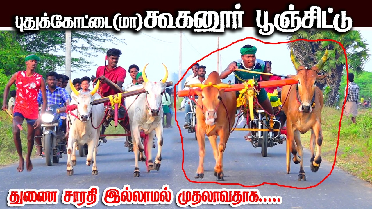 கூகனுர் பூஞ்சிட்டு 2 பந்தயம் 16.02.2026
