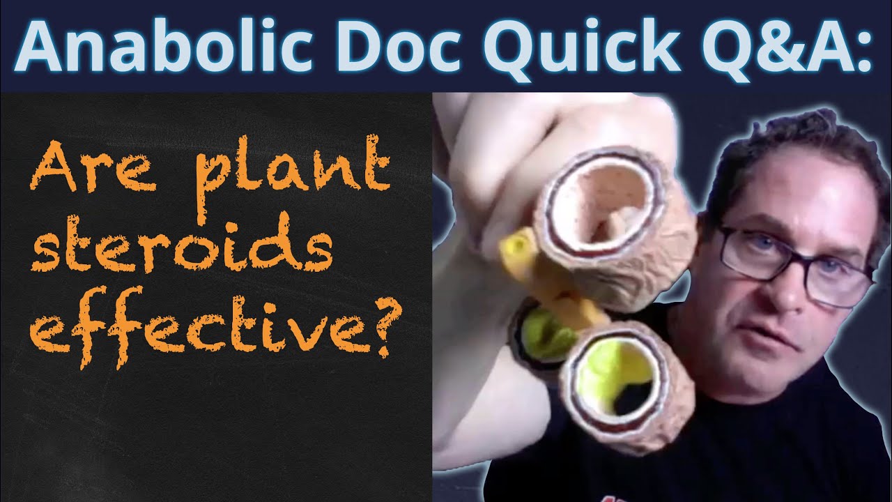 Are Plant Steroids Effective?
