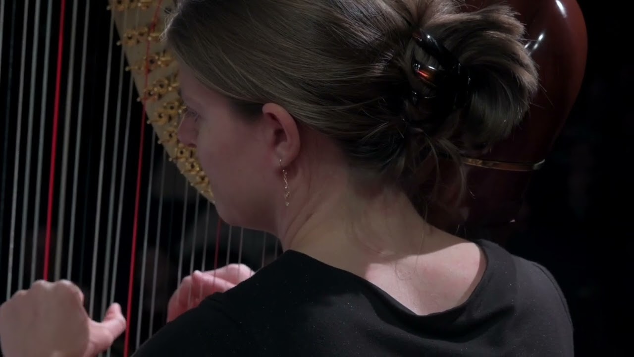 Helldivers II: A Cup of Liber Tea - DSM Gamer Symphony