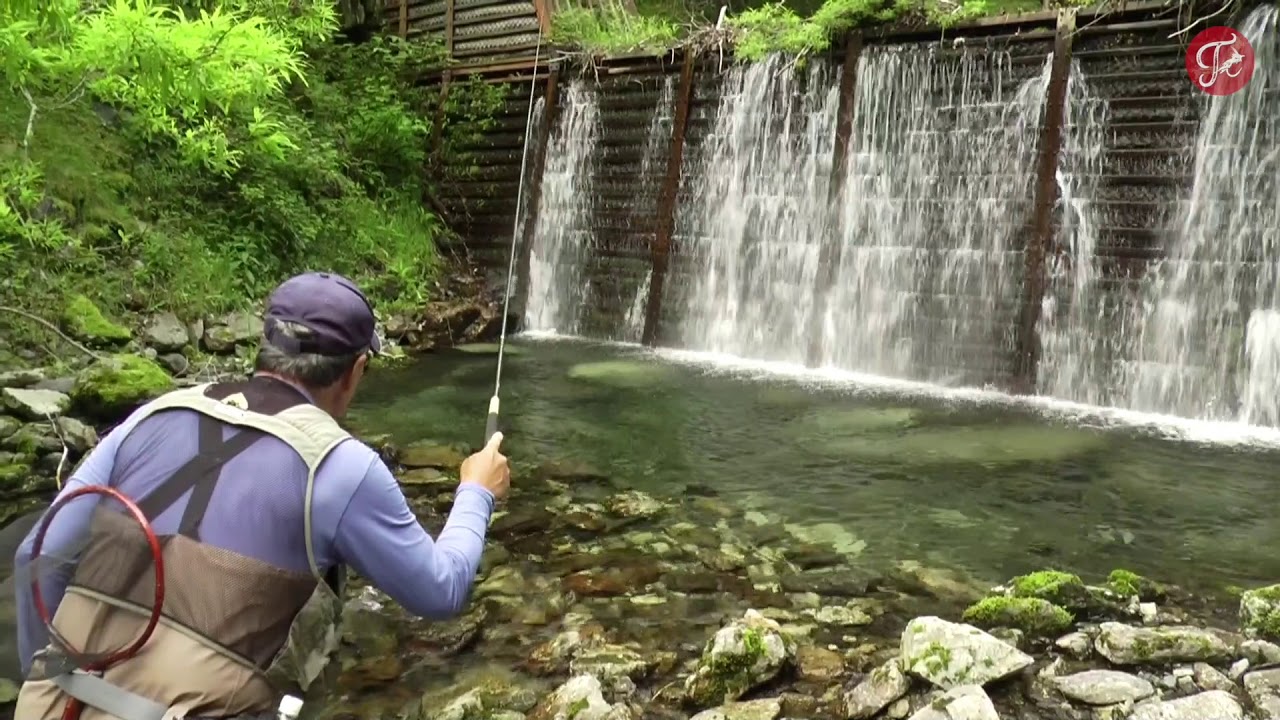 #1 introduction - MasterTenkara - [tenkara fly fishing]
