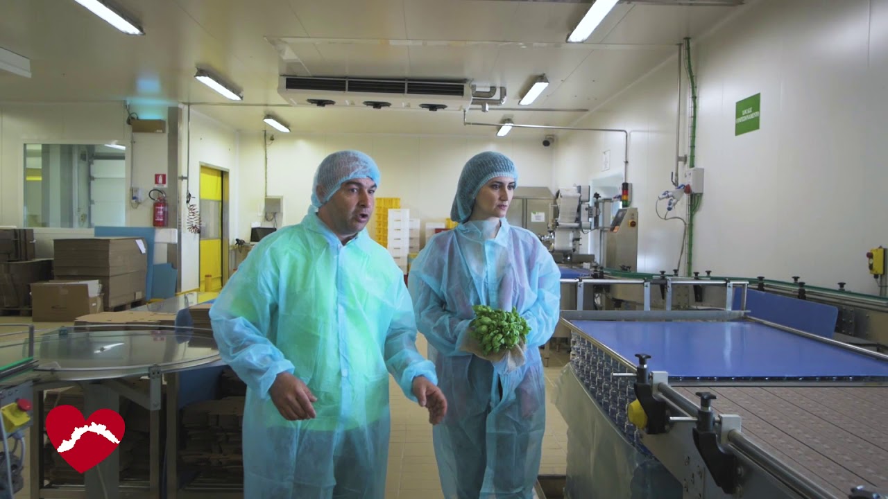 Il Buono della Liguria: Il Pesto di Prà - Bruzzone & Ferrari