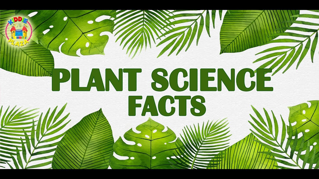 Plant Science Facts | Amazing Facts About Plants