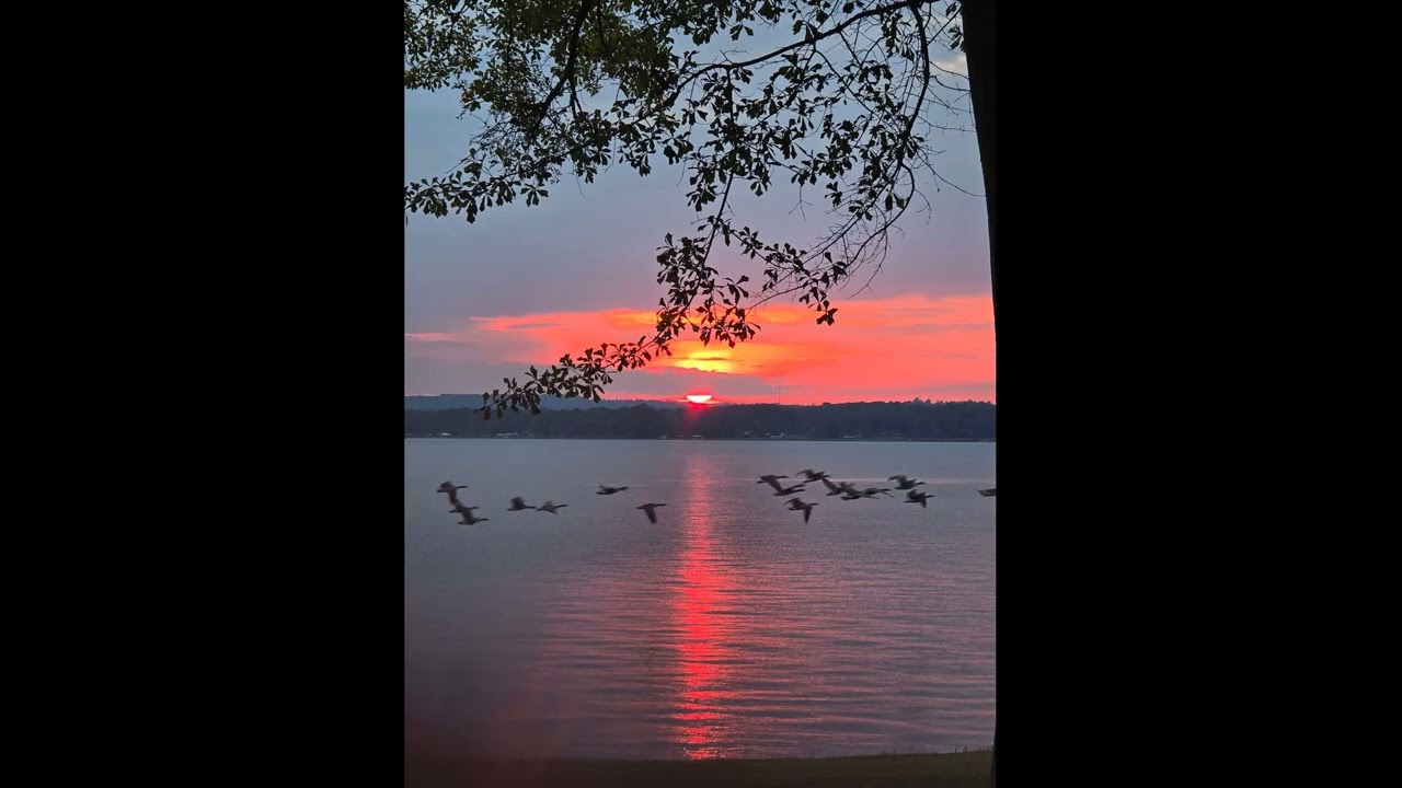 [free for profit] lil uzi vert type beat - tornado