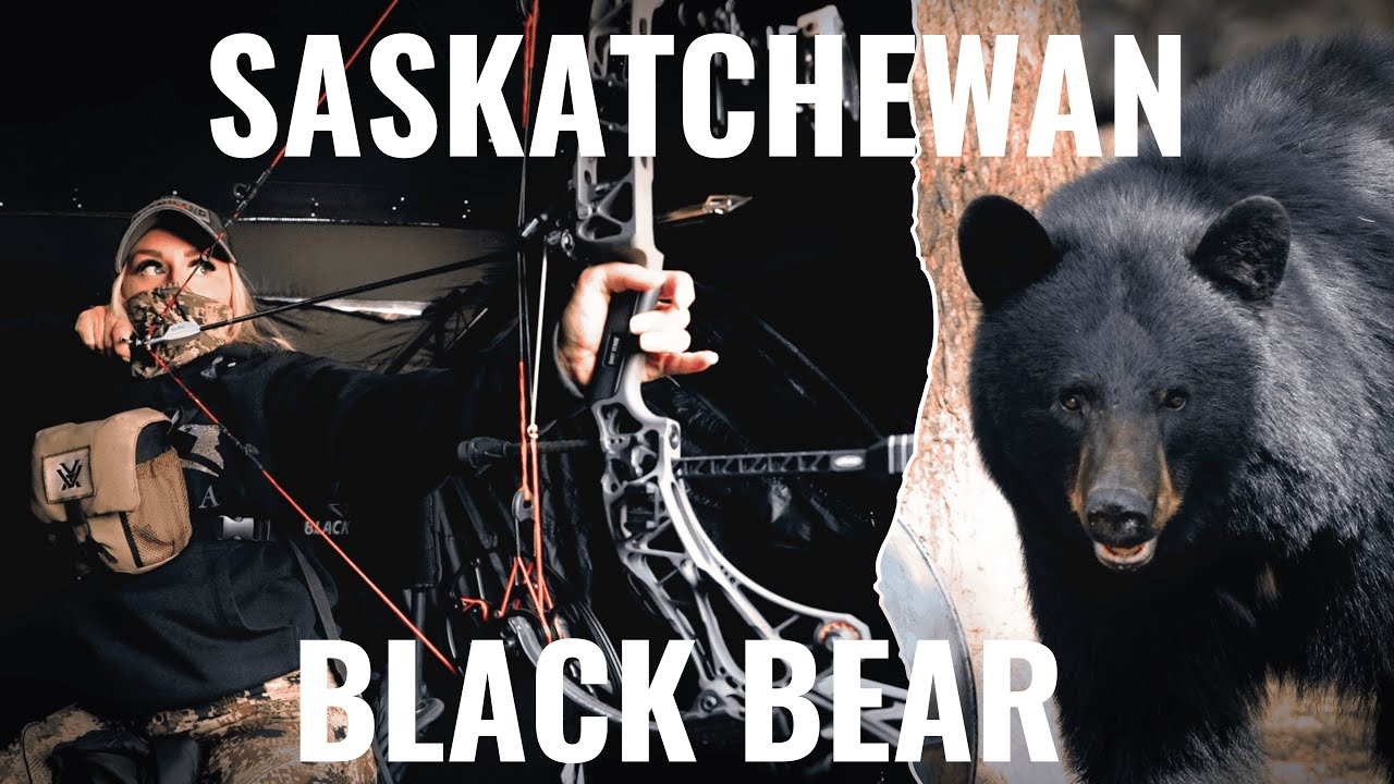 Archery Hunt For a GIANT SASKATCHEWAN BLACK BEAR | 4K Film