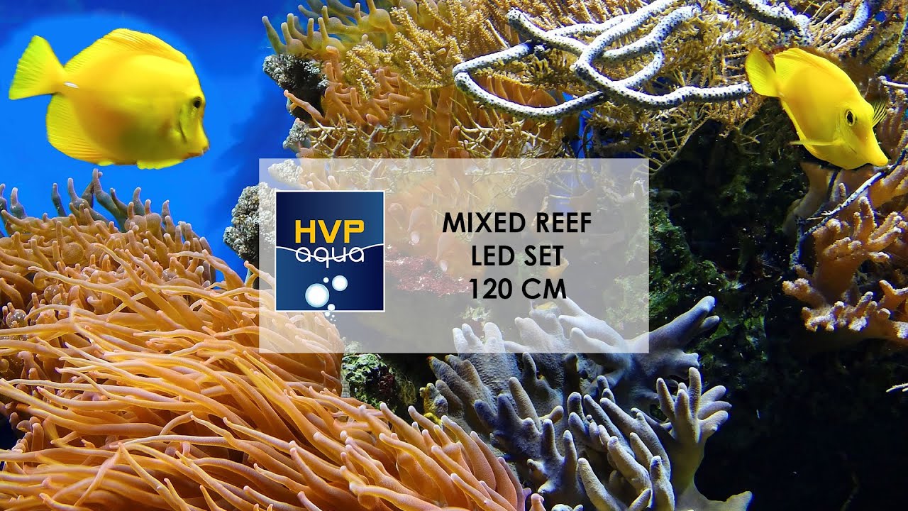 Hoe sluit je de 120cm Mixed Led Set van HVP aqua aan?