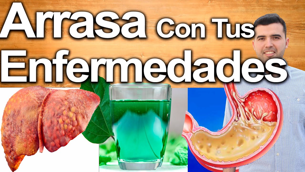 La Clorofila Te Salva - Para Qué Sirve - Beneficios Y Propiedades De La Clorofila Para La Salud