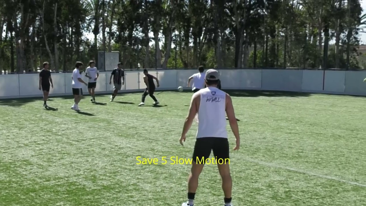 Winter Season: Week 3, Top 10 Saves of the Week