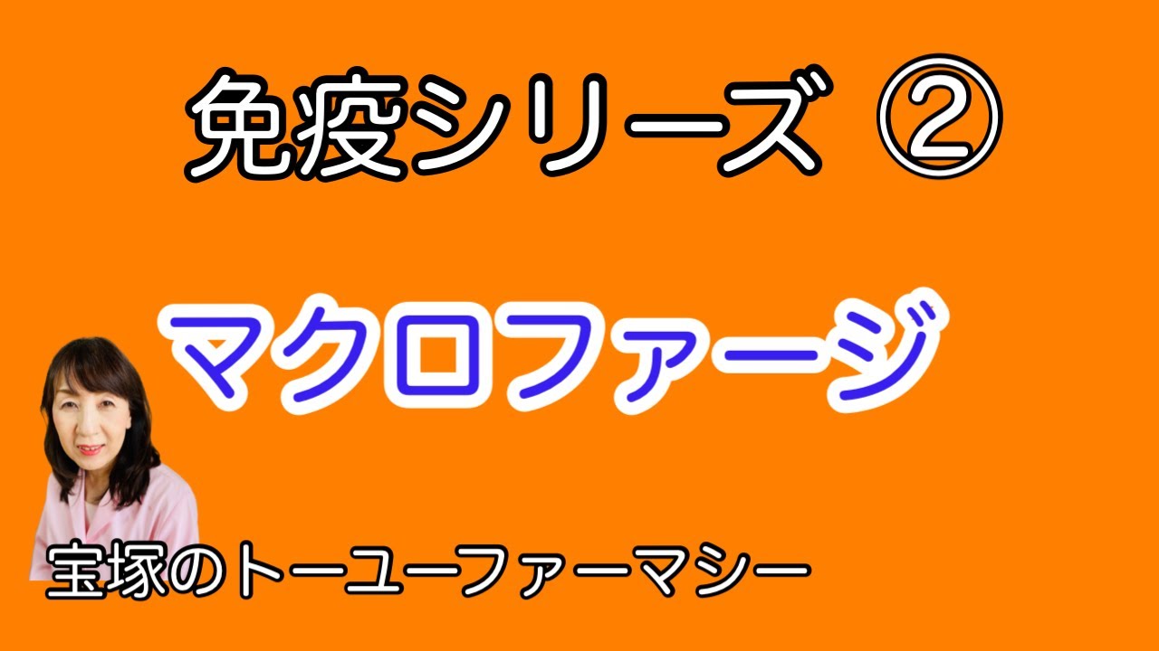 免疫シリーズ②　免疫細胞の一つである【マクロファージ】とはどんなものなのか解説します。　（宝塚の漢方薬局トーユーファーマシー）