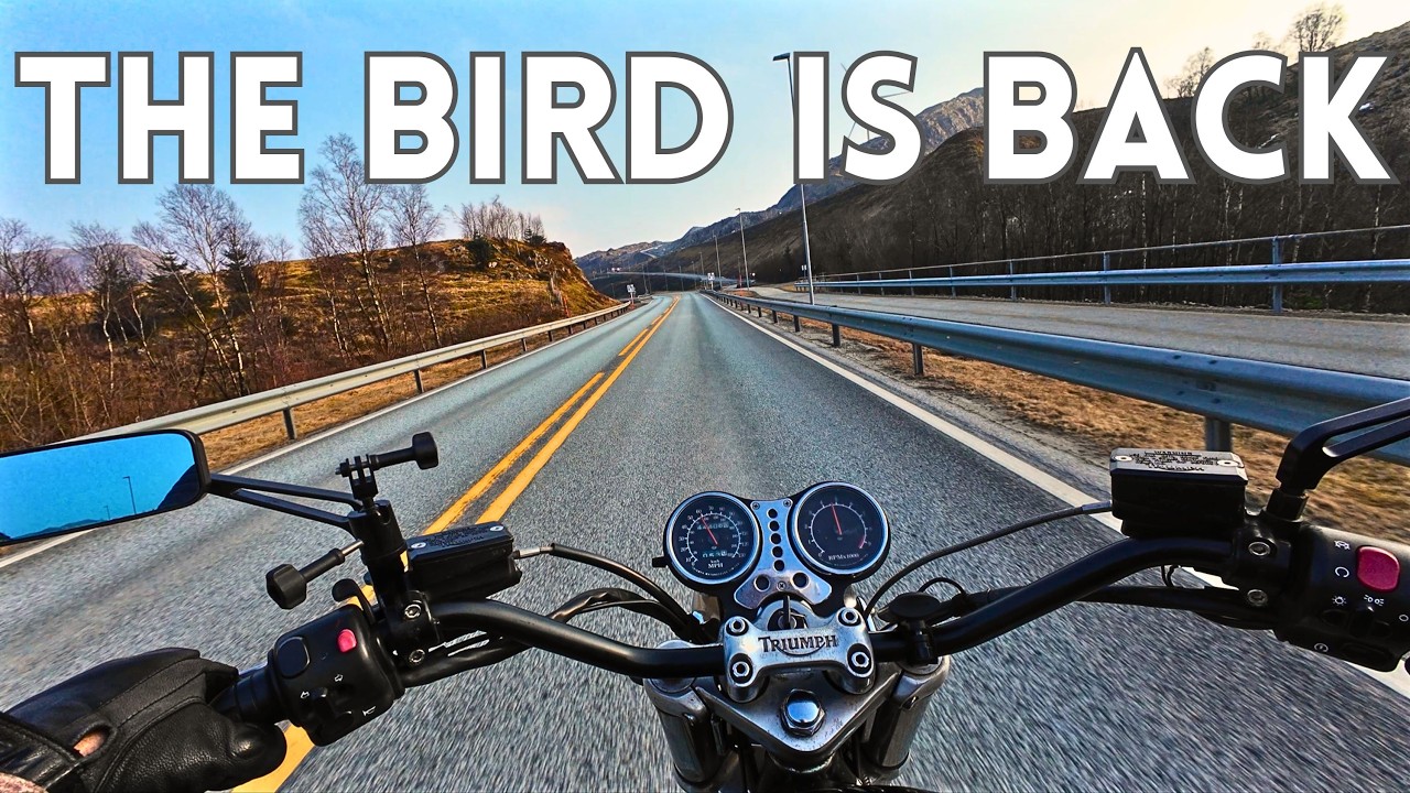 The BIRD is back!!